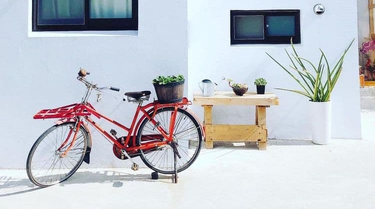 簡約、自然、鄉村