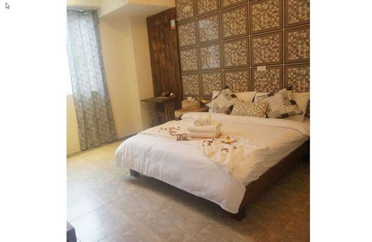 Baodong BBQ Pet Friendly B&B-5