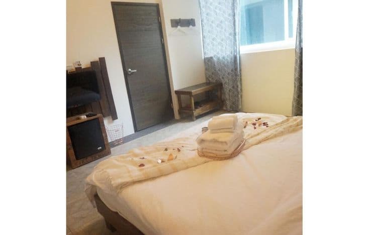 Baodong BBQ Pet Friendly B&B-7