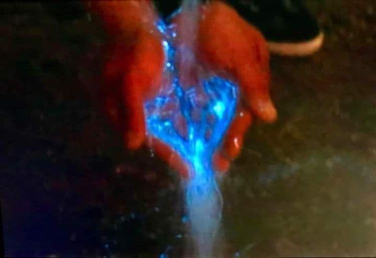 金門藍眼淚 3-5月 季節限定