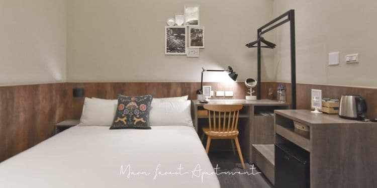 Morn Forest 。 Travel-10