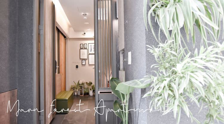 Morn Forest 。 Travel-1