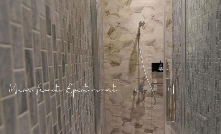 Morn Forest 。 Travel-9