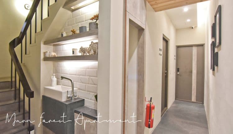 Morn Forest 。 Travel-6