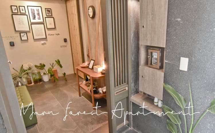 Morn Forest 。 Travel-2