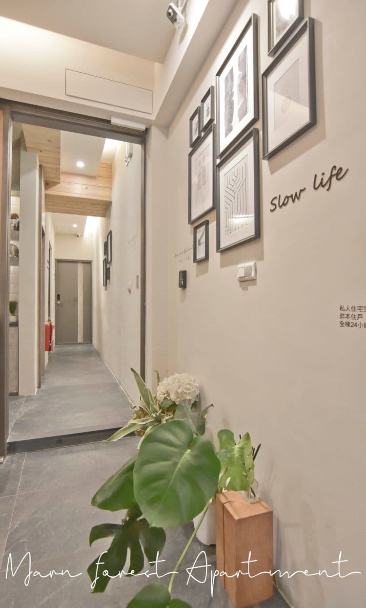 Morn Forest 。 Travel-3