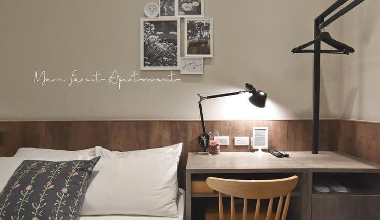 Morn Forest 。 Travel-11