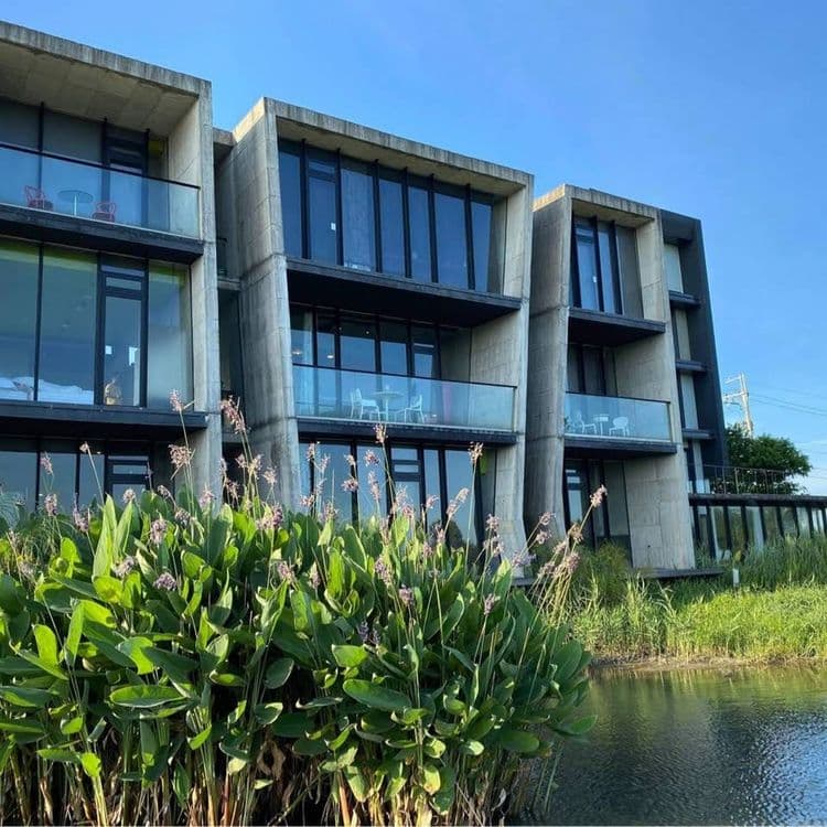 Rice Field Homestay-1