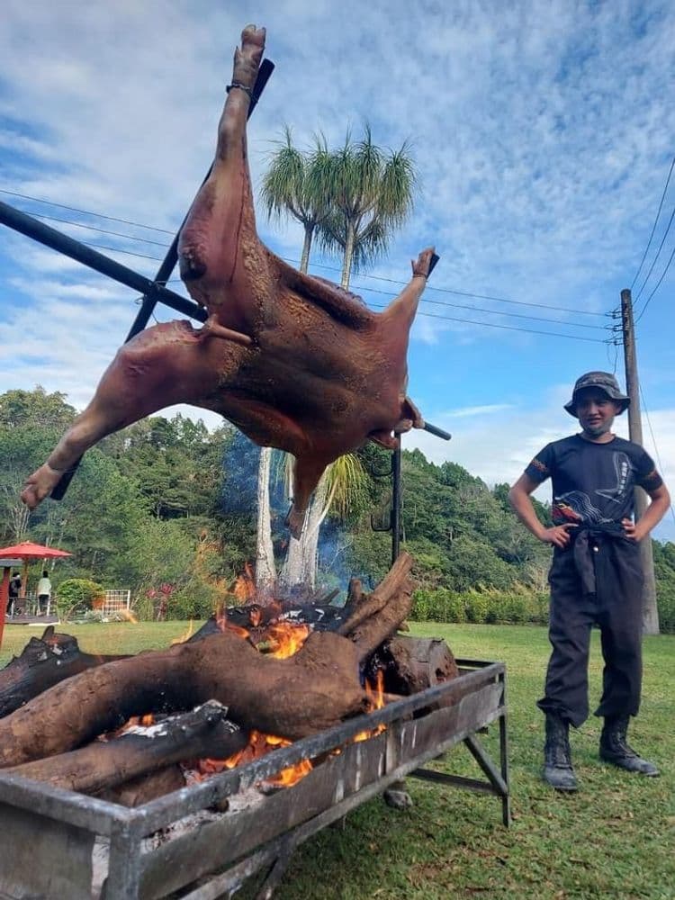 山上林園南投包棟民宿｜可選購34人包棟房型-4