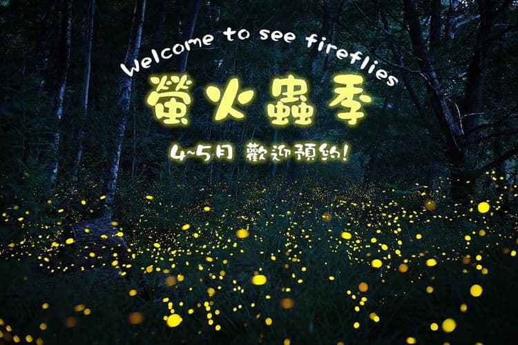 山上林園南投包棟民宿｜可選購34人包棟房型-10