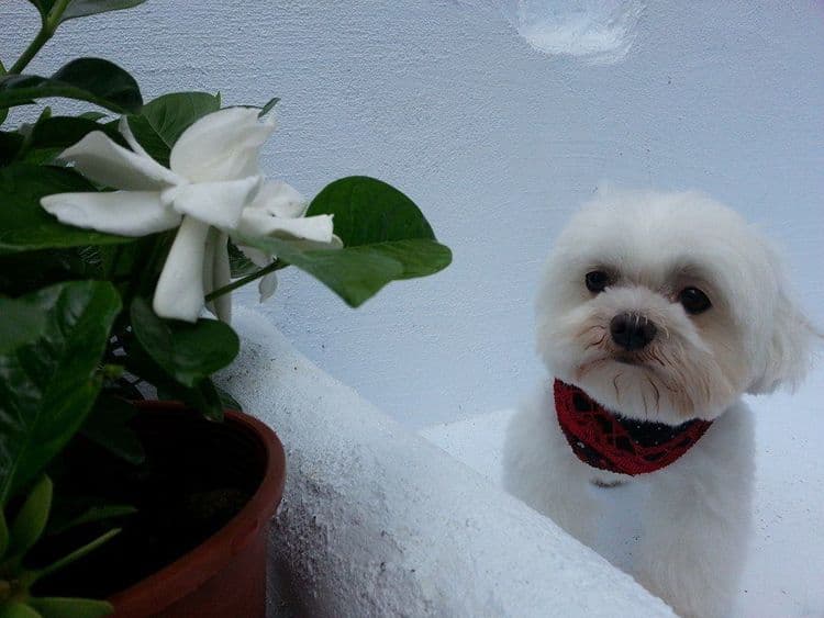 墾丁旅店 l 包棟-4