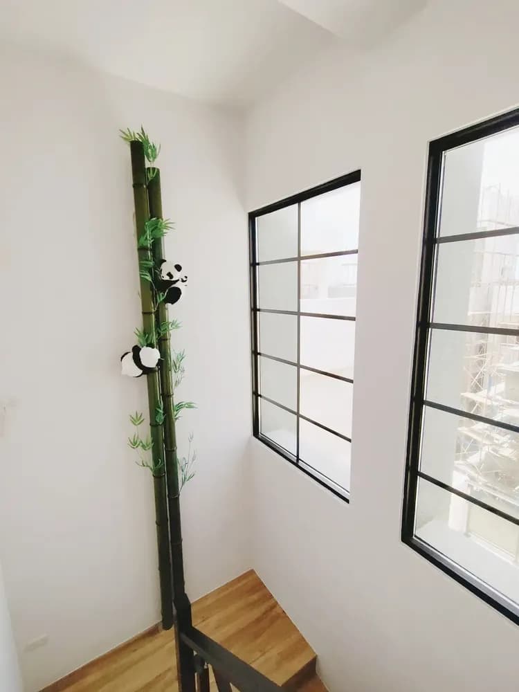 [圓仔與你的時光]