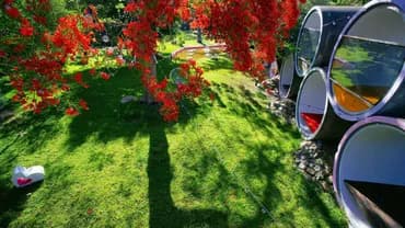 漫聚時光森林營地｜獨家8折起！全新帳篷、獨立衛浴、寵物友善-3