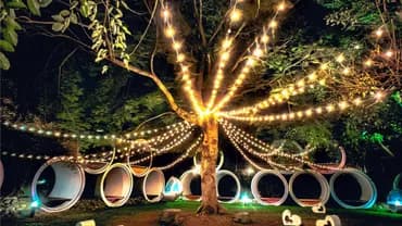 漫聚時光森林營地｜獨家8折起！全新帳篷、獨立衛浴、寵物友善-3