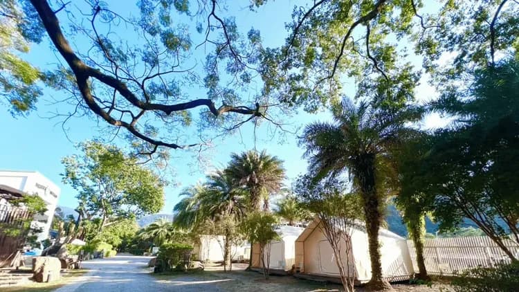 YCC Forest Campsite-9