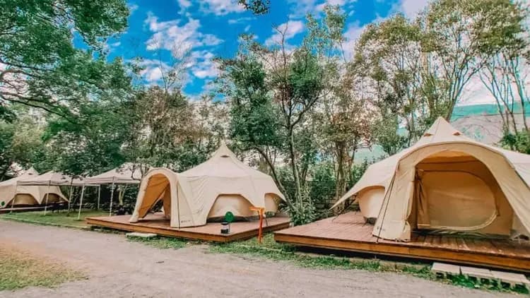 漫聚時光森林營地｜獨家8折起！全新帳篷、獨立衛浴、寵物友善-1