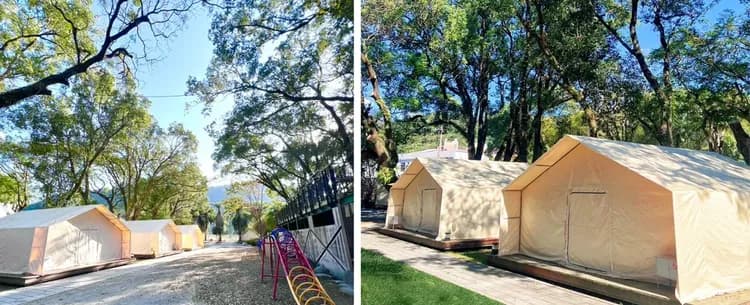 YCC Forest Campsite-1