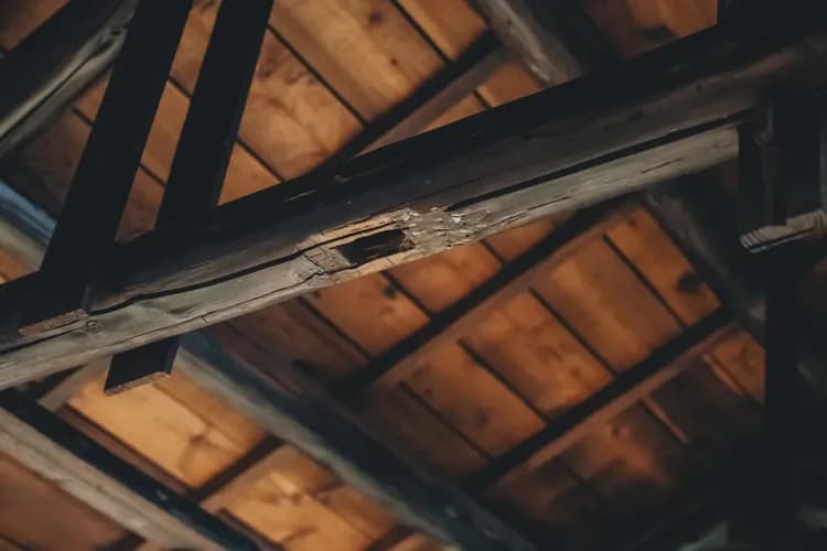 Twilight Moon  | Seaview Building B&B (2-12 people in a private building)-14