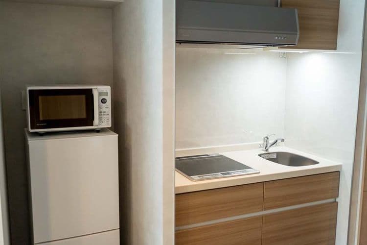 RESI STAY 京 Ryuvilux 二條-11