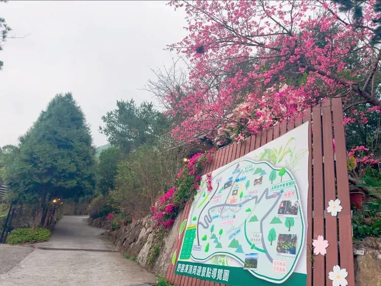 野趣凍頂-奢華露營｜一泊三食+獨立衛浴/冷氣-16