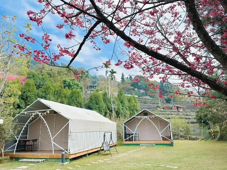 野趣凍頂-奢華露營｜一泊三食+獨立衛浴/冷氣-15