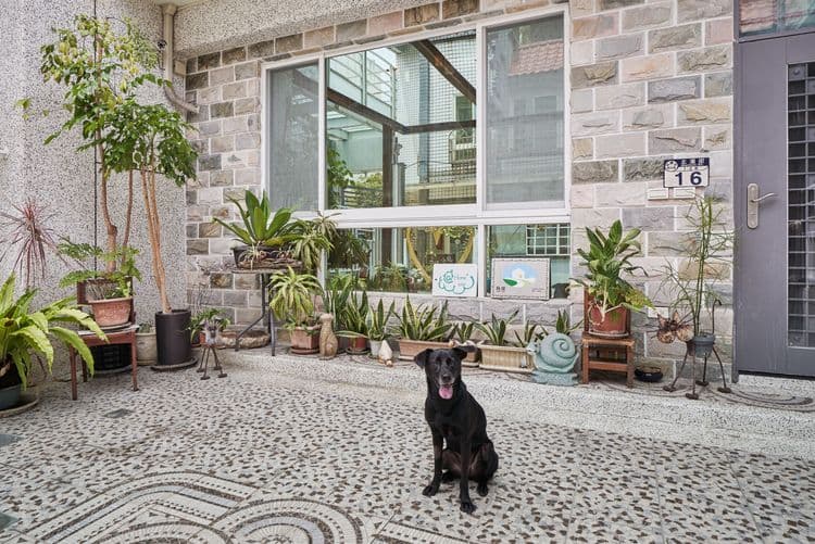 像個家 plus 民宿 | 可8-15人花蓮包棟-12