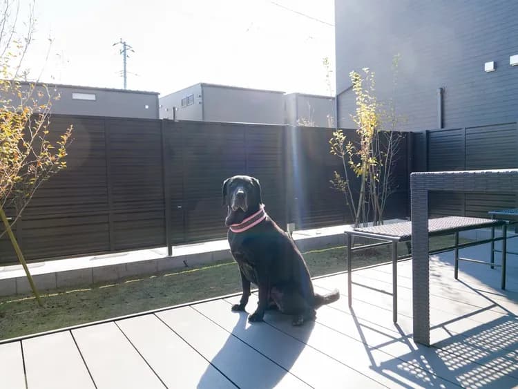 【104・105】専用ドッグランでワンちゃんと遊ぼう（1階）