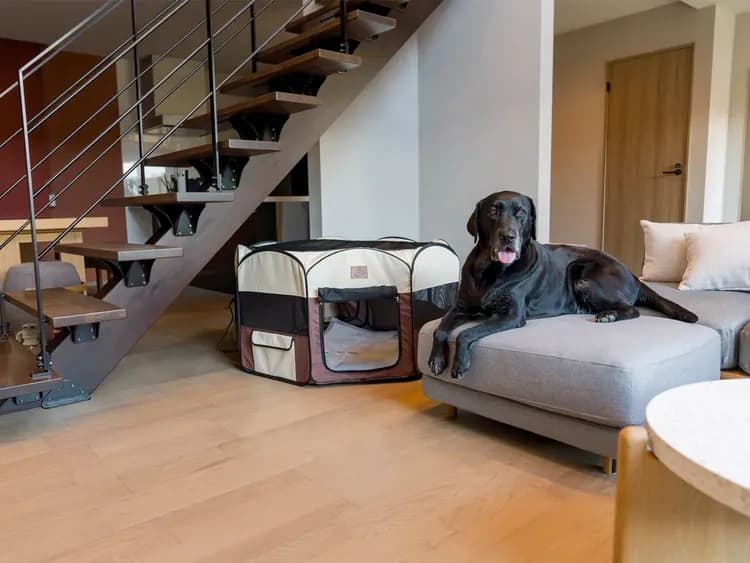 【104・105】ペット用ケージもご用意