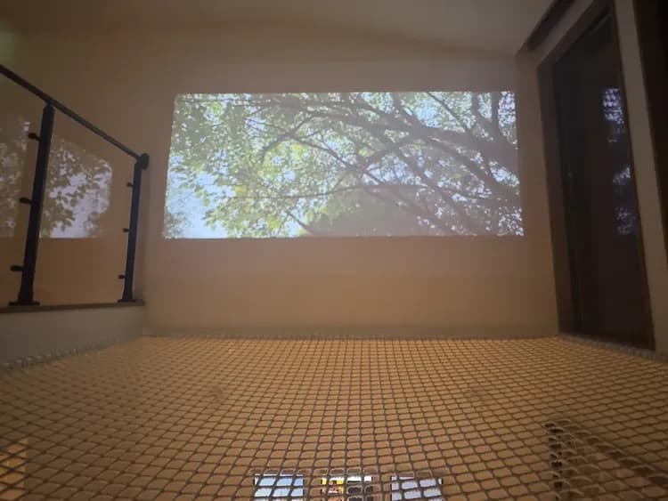 【南館】102103限定の空中ネット