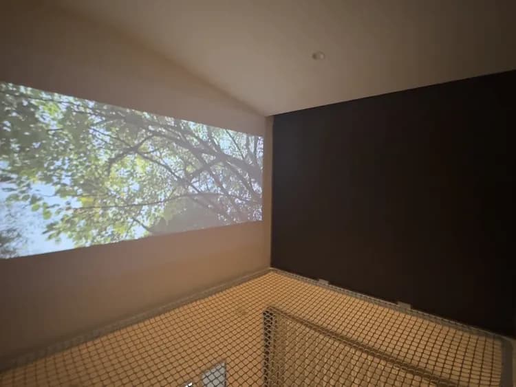 【南館】102-103限定の空中ネット