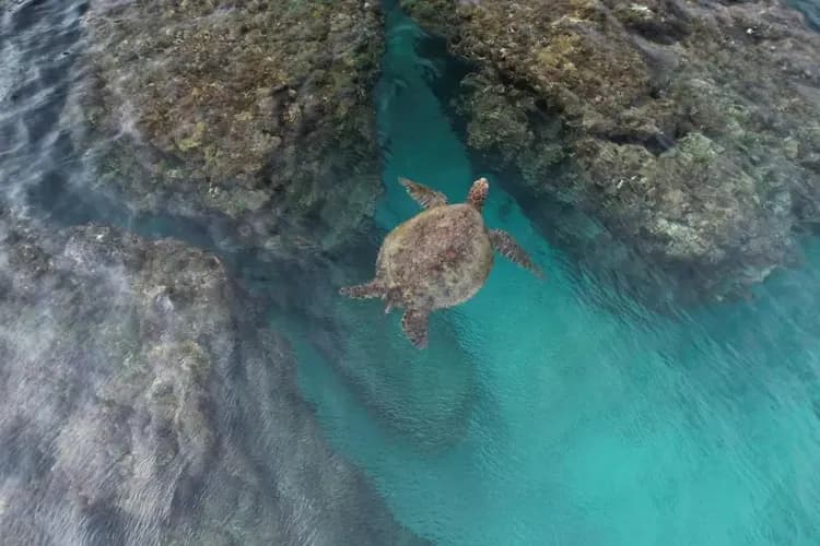 小琉球 白海民宿-10