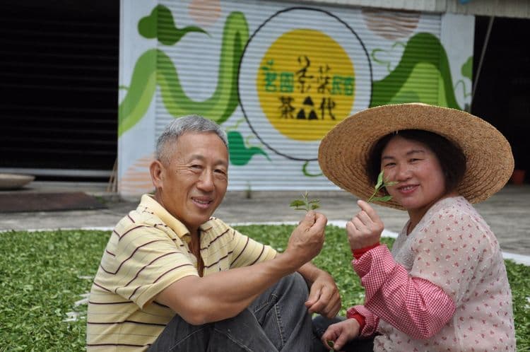 茗園茶葉民宿-瑞里-12