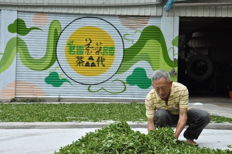 茗園茶葉民宿-瑞里-10