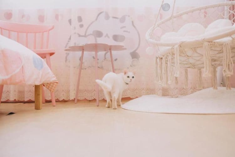 Moon walks slowly-11