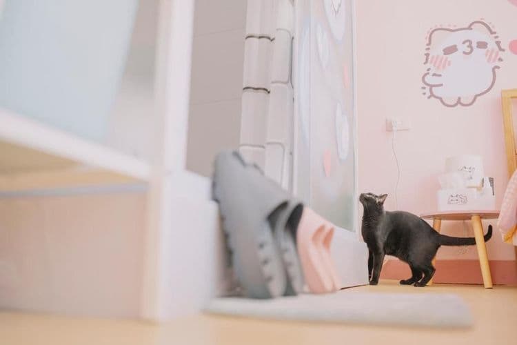 Moon walks slowly-10