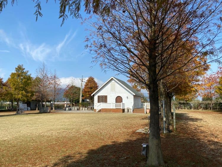 水玉妮光GC花園露營｜超美落羽松！-1