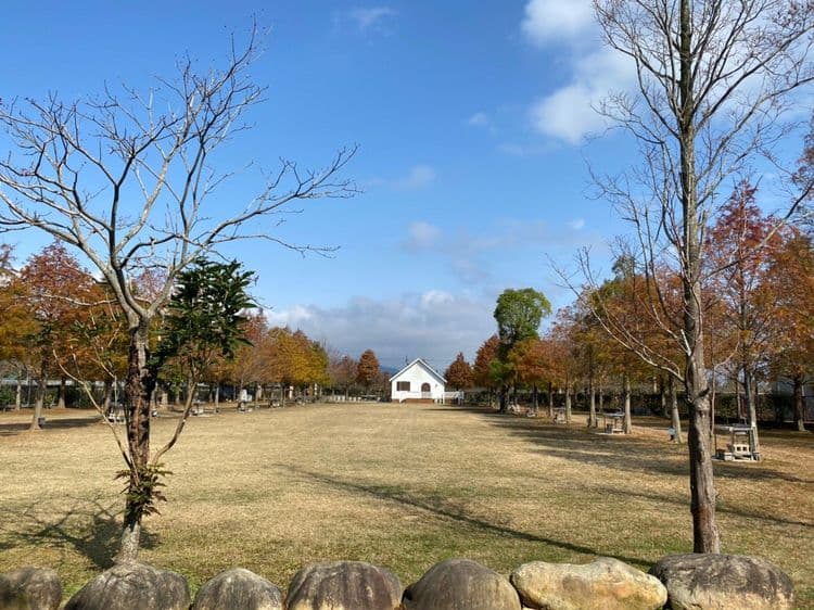 水玉妮光GC花園露營｜超美落羽松！-2