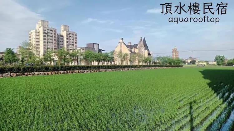 頂水樓。玩趣民宿-19