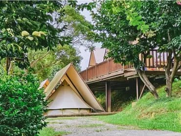 樹語星晴｜浪漫鐘型帳、北歐風露營車、豐富親子設施、加購海陸頂級烤肉-3