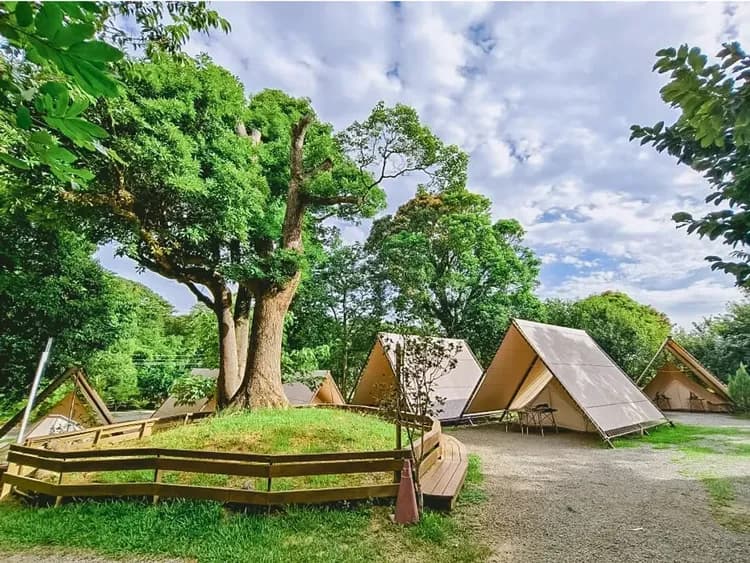 樹語星晴｜浪漫鐘型帳、北歐風露營車、豐富親子設施、加購海陸頂級烤肉-5