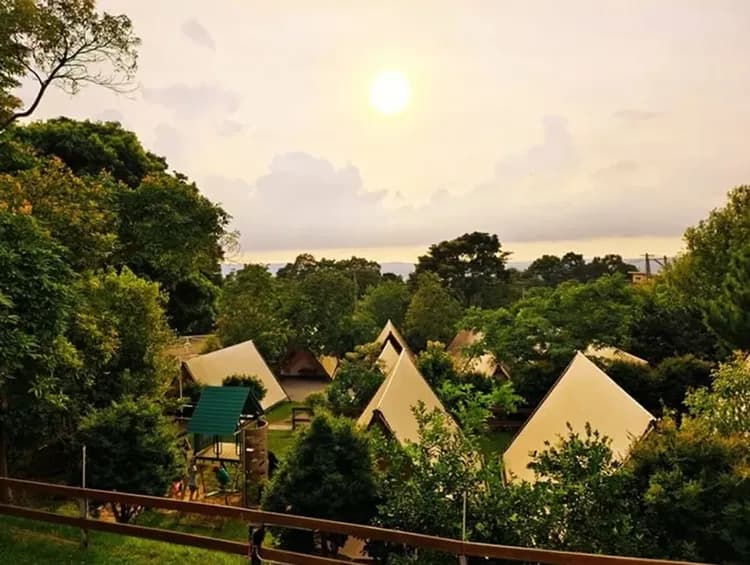 樹語星晴｜浪漫鐘型帳、北歐風露營車、豐富親子設施、加購海陸頂級烤肉-4