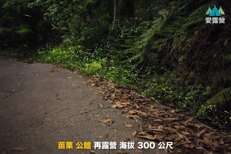 衝到山上去放空/再~露營露營區｜獨家75折起！屋脊帳、豪華露營、可選購烤肉-9