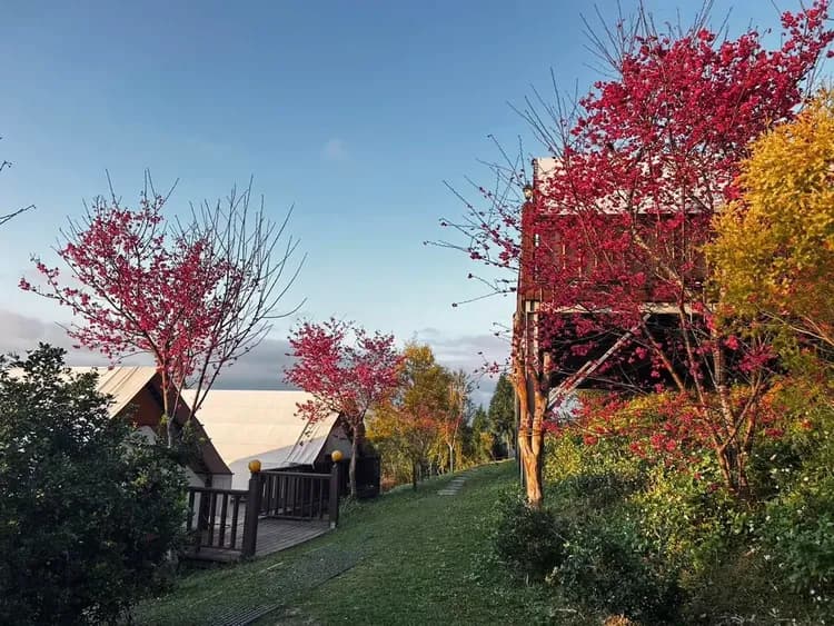 衝到山上去放空/再~露營露營區｜獨家75折起！屋脊帳、豪華露營、可選購烤肉-12