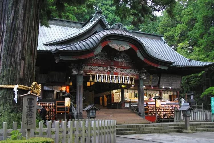 冨士太郎杉（北口本宮冨士浅間神社まで車で7分）