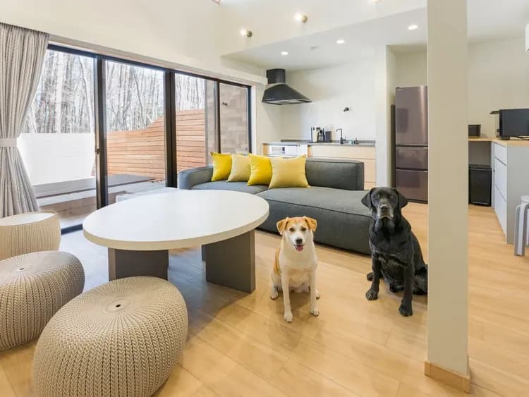 【ペット同泊可】室内でも一緒に寛げます