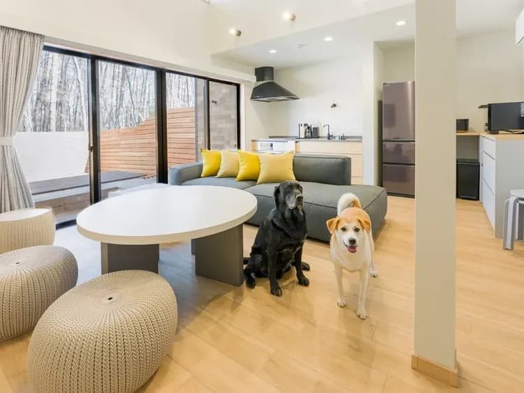 【ペット同泊可】室内でも一緒に寛げます