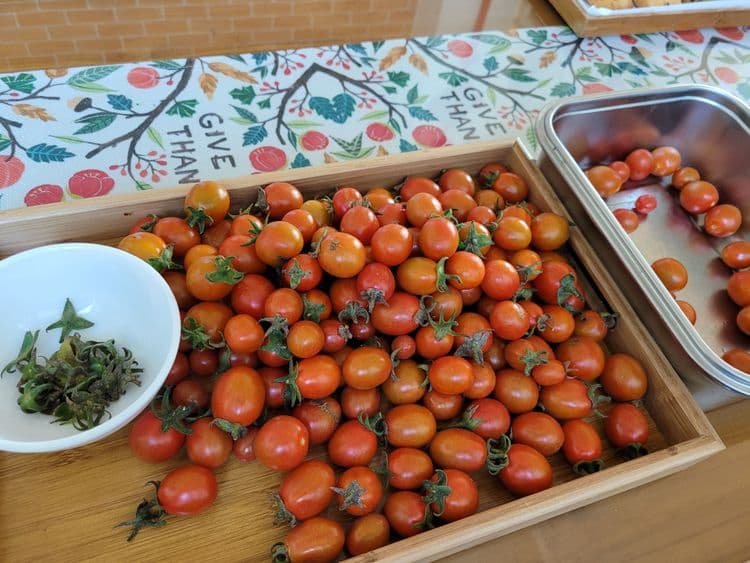 金門寶貝家族民宿-10