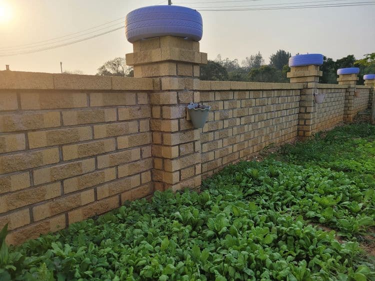 金門寶貝家族民宿-13