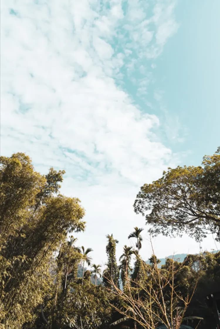 拾階莊園｜豪華露營體驗  近內灣老街-6