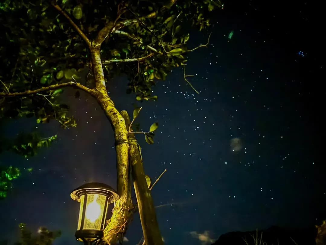 新竹縣-拾階莊園｜豪華露營體驗  近內灣老街